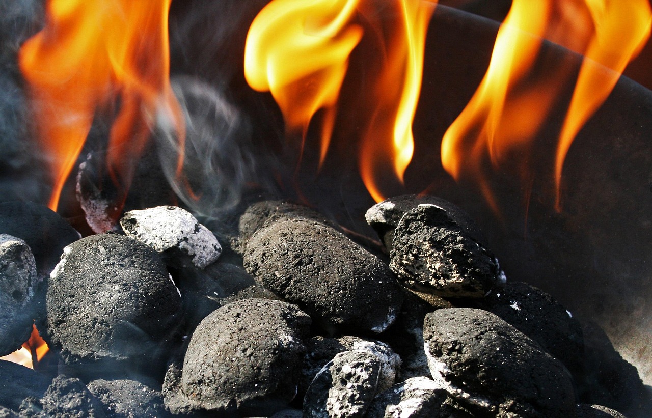 Barbecue Briquettes